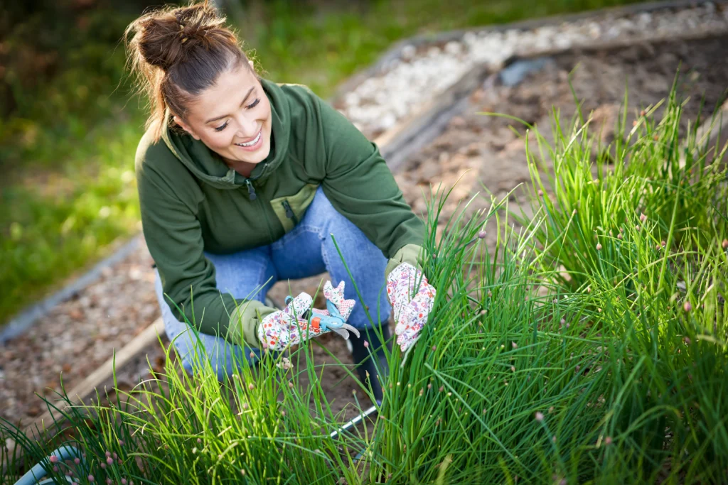 Gardener smiling as she trims plants in a vegetable bed