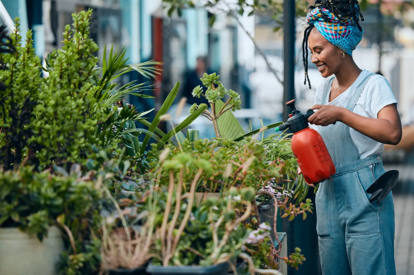 water-flowers-or-black-woman-gardening-in-small-b-2025-04-06-10-59-21-utc (Large)